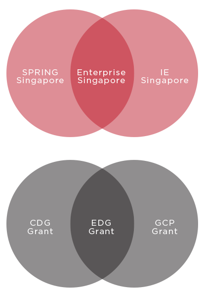 About EDG (Enterprise Development Grant) by Enterprise Singapore (ESG)